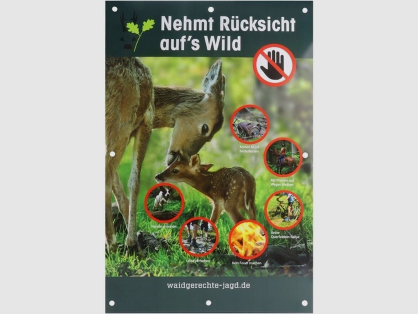 Waidgerechte Jagd Hinweisschild Rücksicht auf's Wild - 3er-Pack