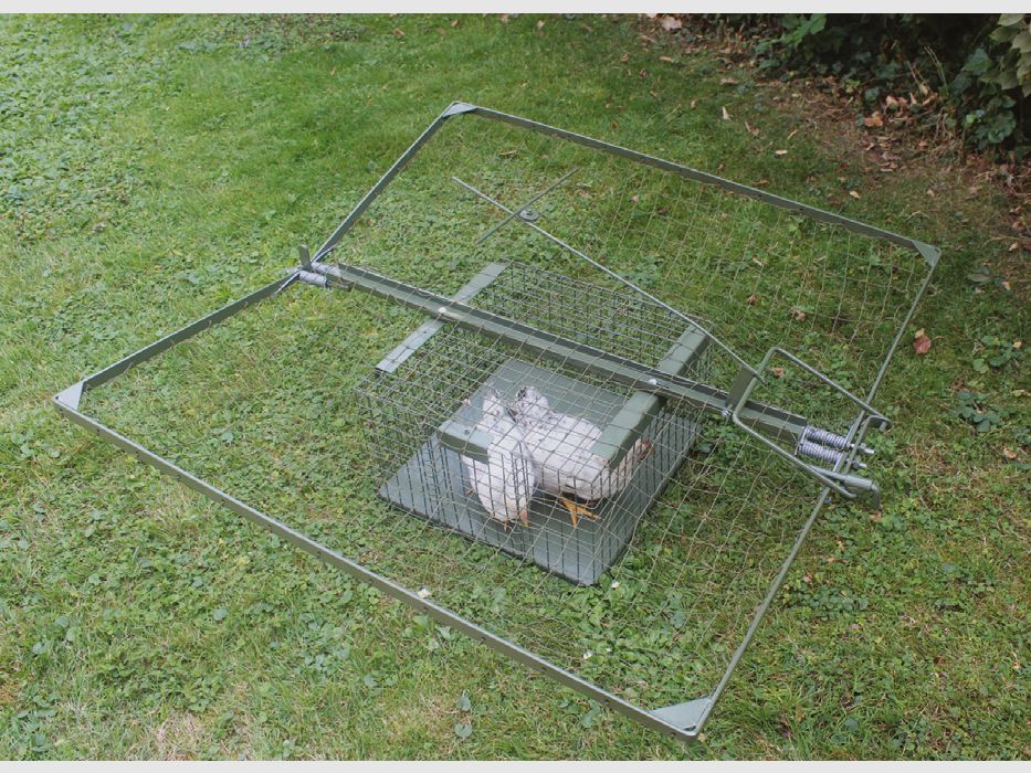 Hawk trapping basket Mod. D