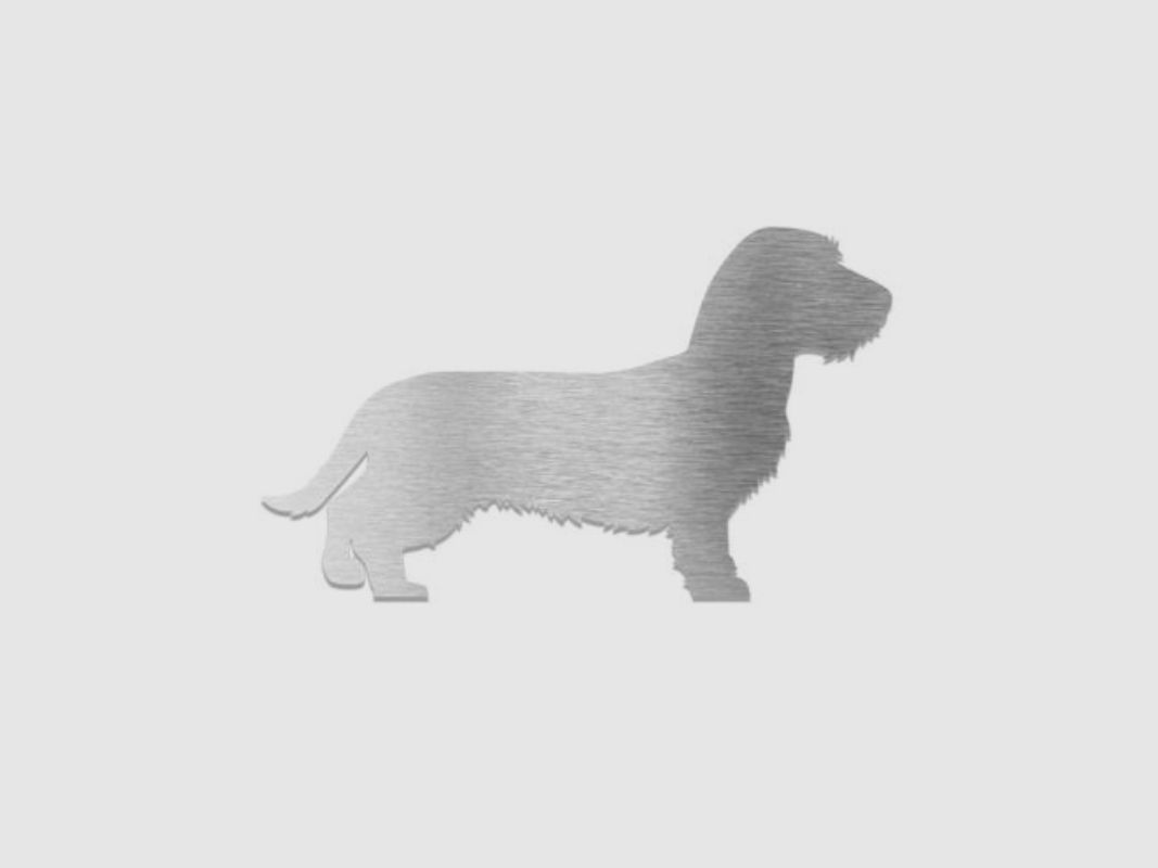 Decorative Pin/Badge "Wirehaired Dachshund"