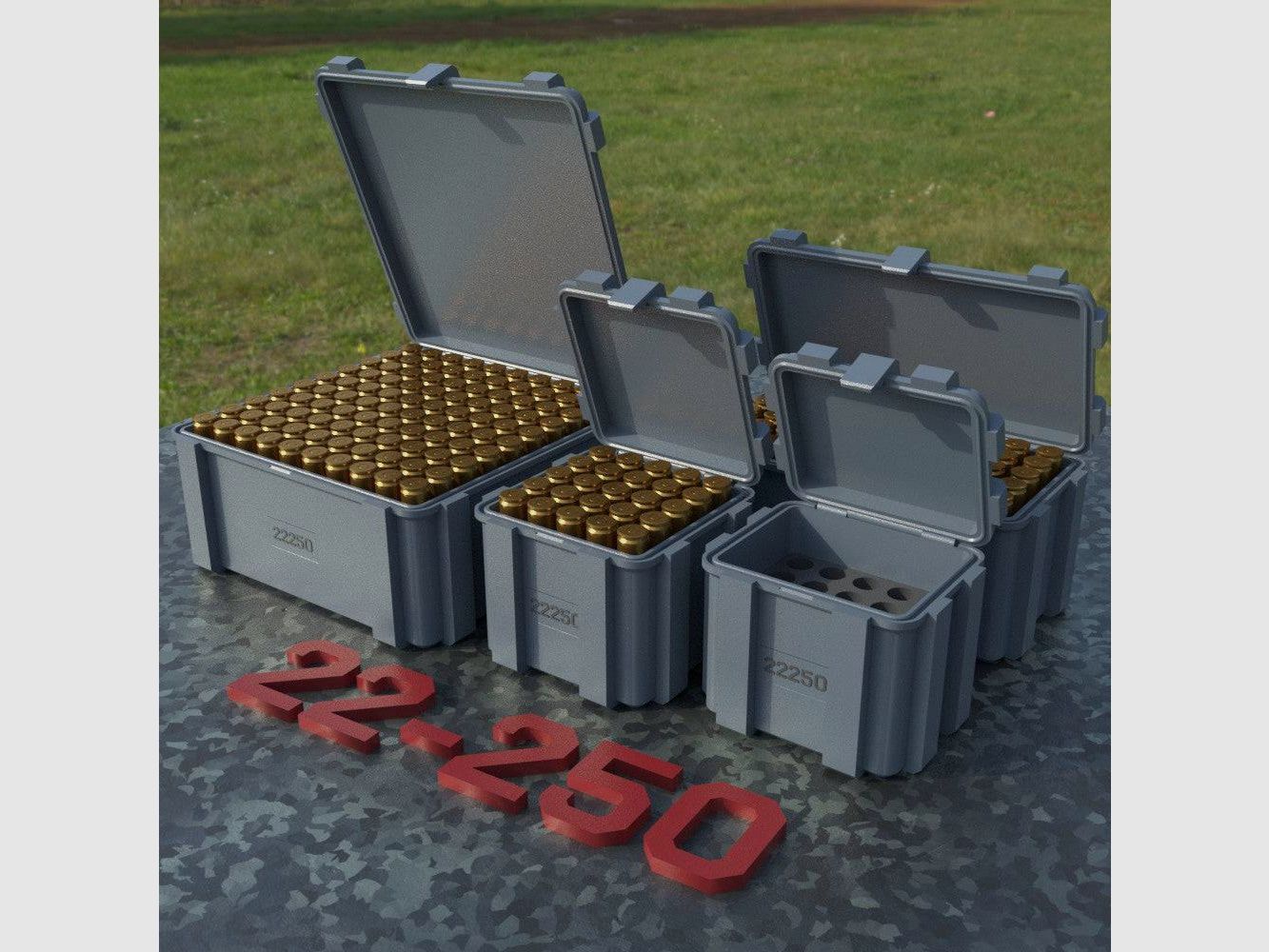 Filamelt Munitionsbox / .22-250 Remington / ‘Klappdeckel’ / Patronenbox, Ammo Box