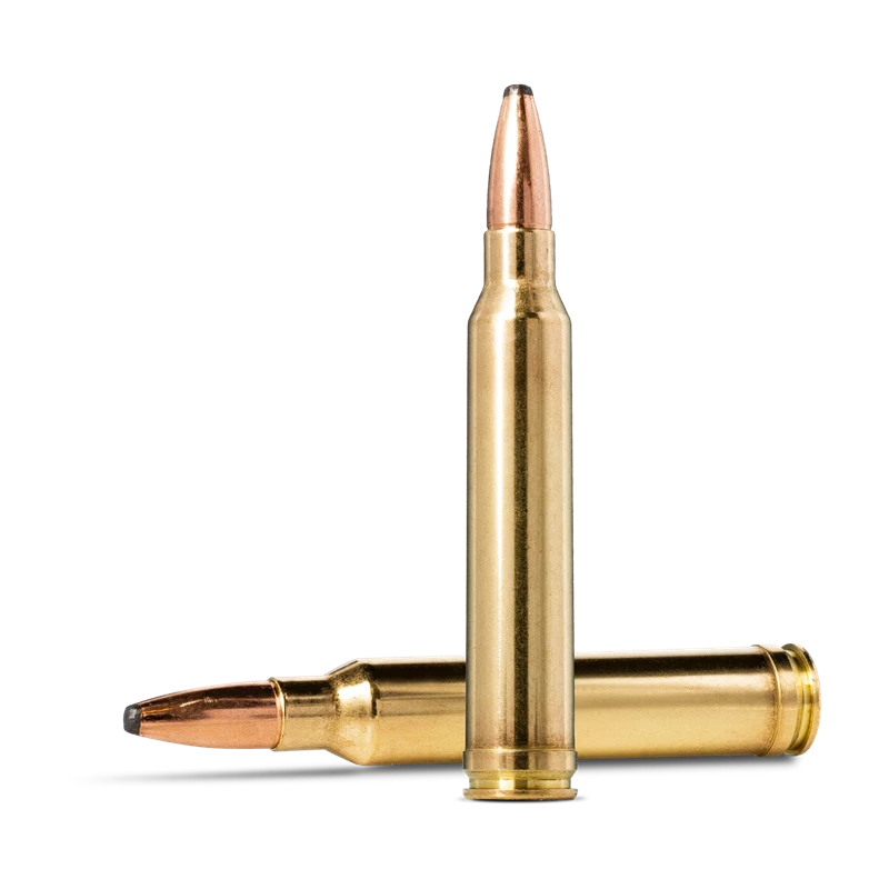 NORMA .300 Win. Mag. 180 gr ORYX, image 3 sur 3