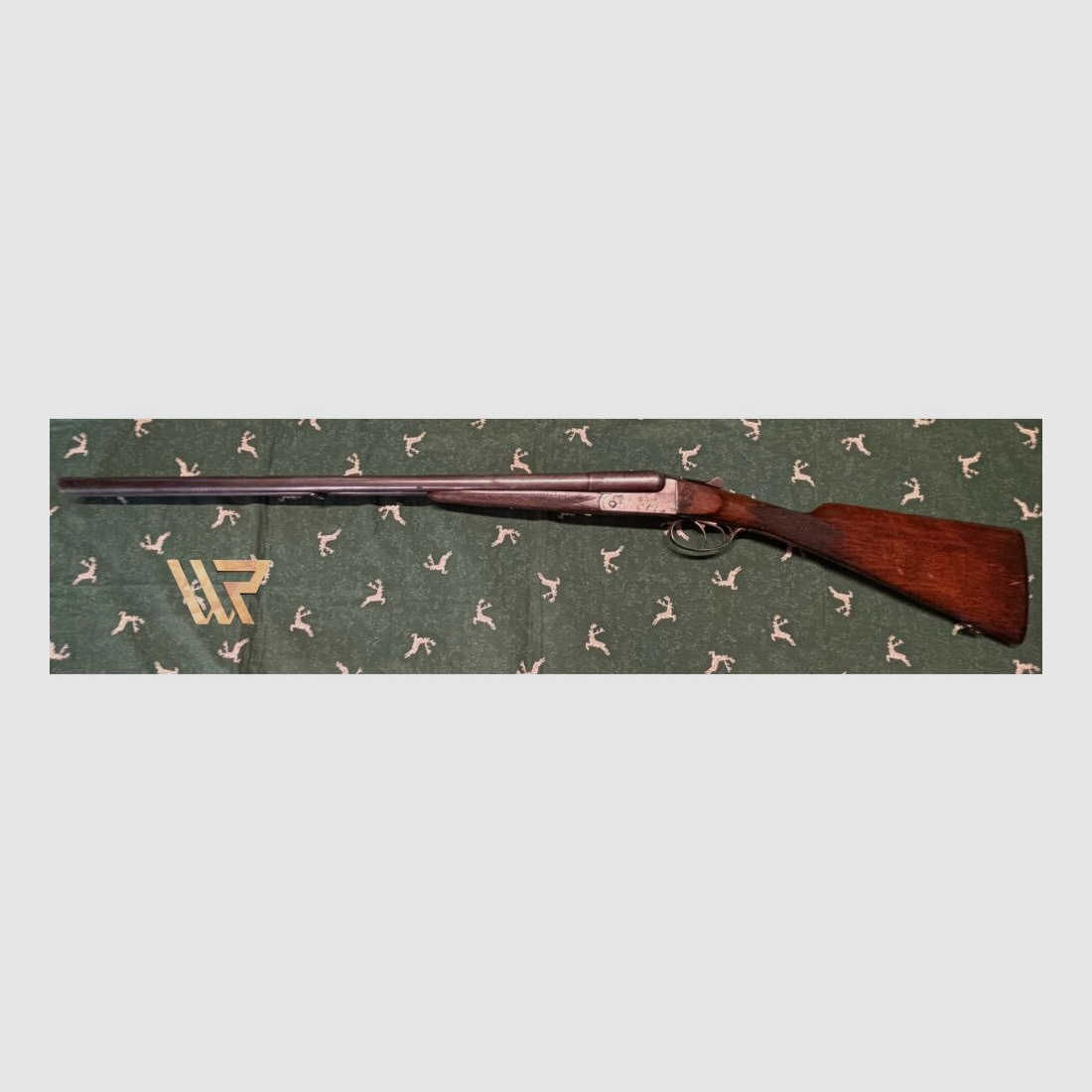 Fosil Robust Brevek - 12/65