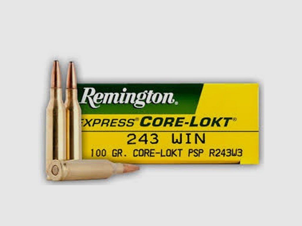 Munition Remington Core-Lokt PSP Cal.243 WIN 100gr, image 2 sur 2