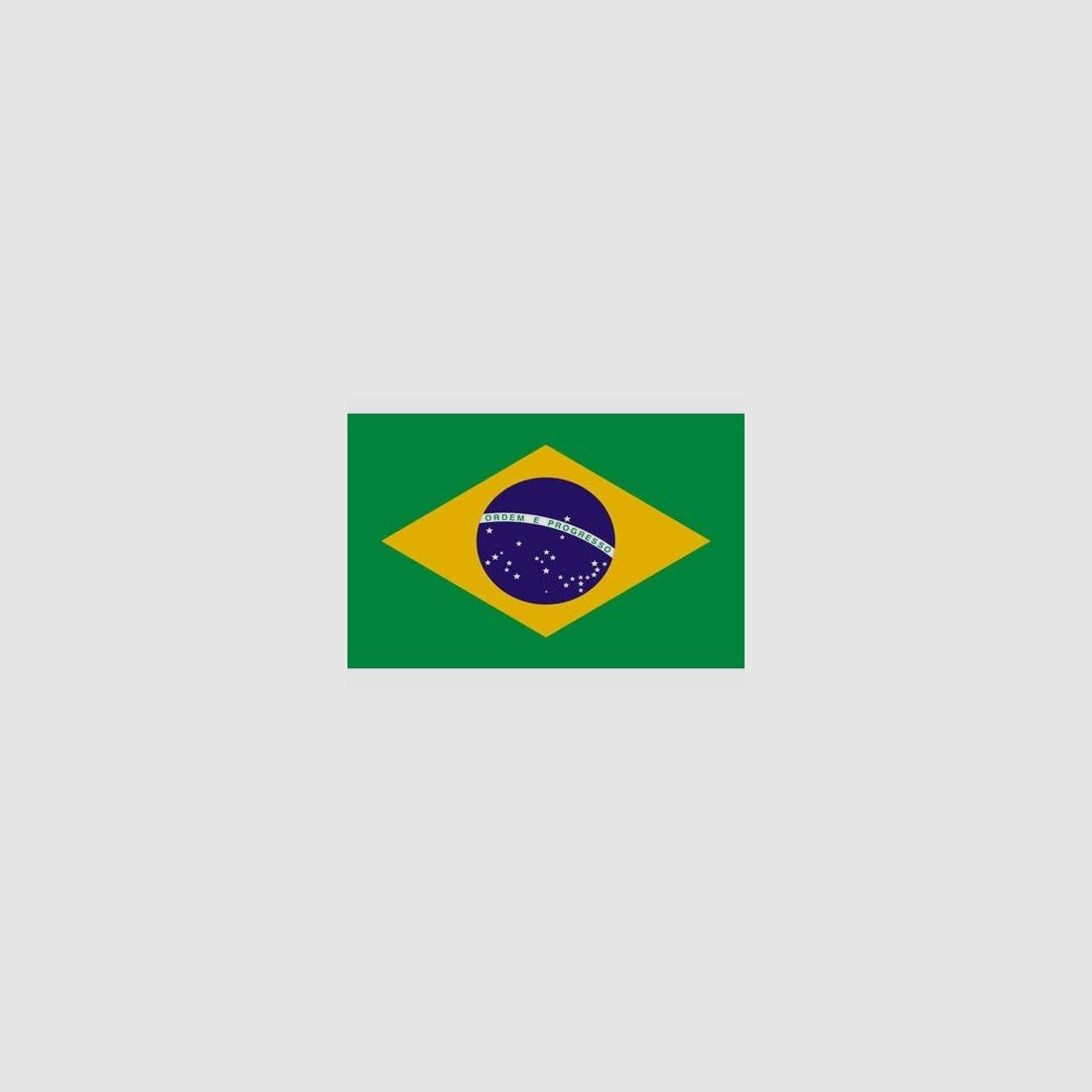 Braziliaanse vlag, afbeelding 3 van 3