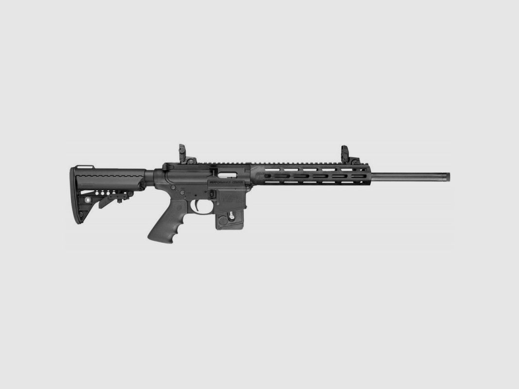 Selbstladebüchse Smith & Wesson M&P15-22 Sport PC, Bild 3 von 7