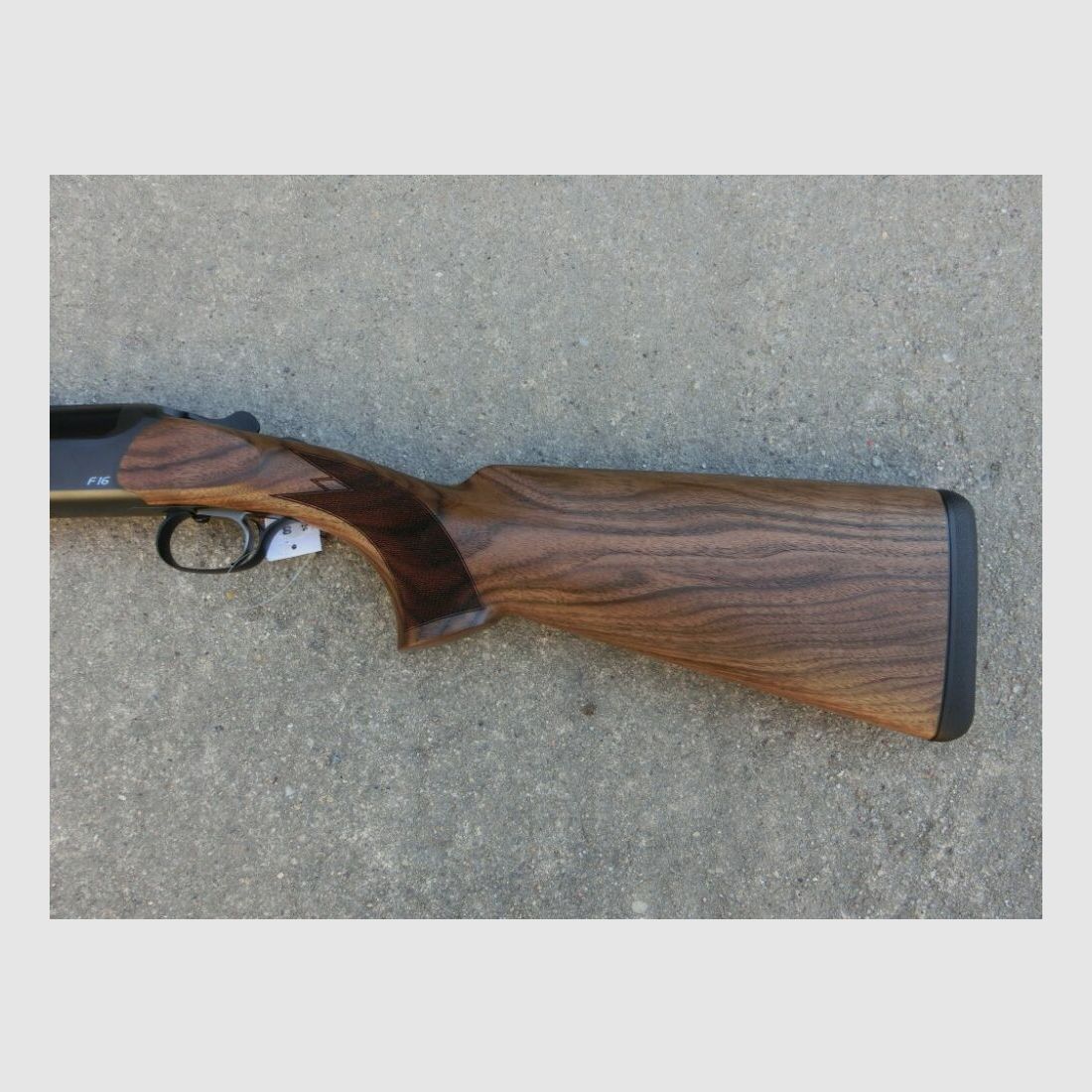 Blaser F16 Juego