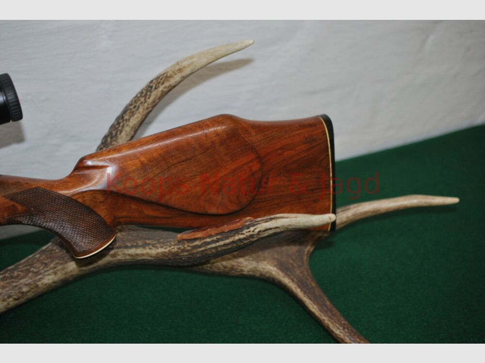 Mauser 2000