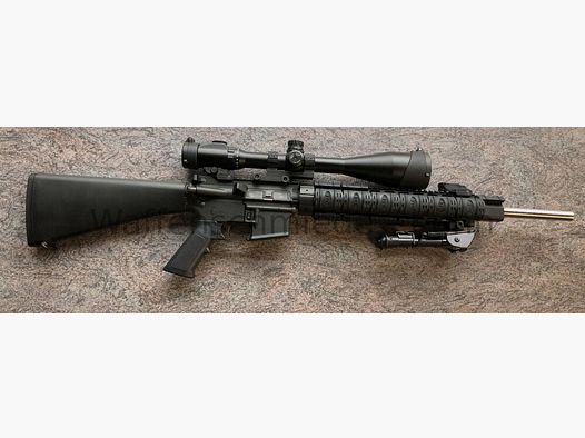 DPMS / Shilen / Custom AR15