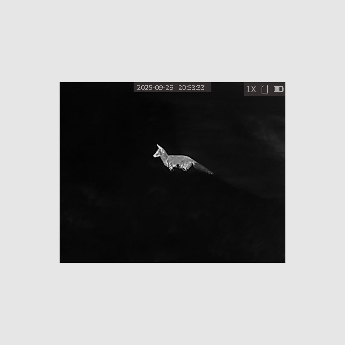 Thermal imaging camera HIKMICRO OWL OH35