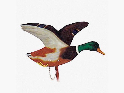 Repuestos para el nº 29255