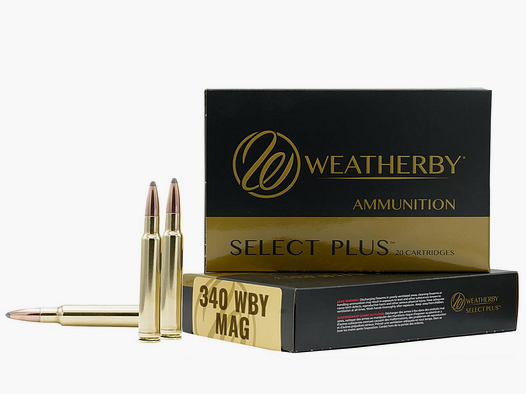 Weatherby .340 WBY Mag SP 250gr