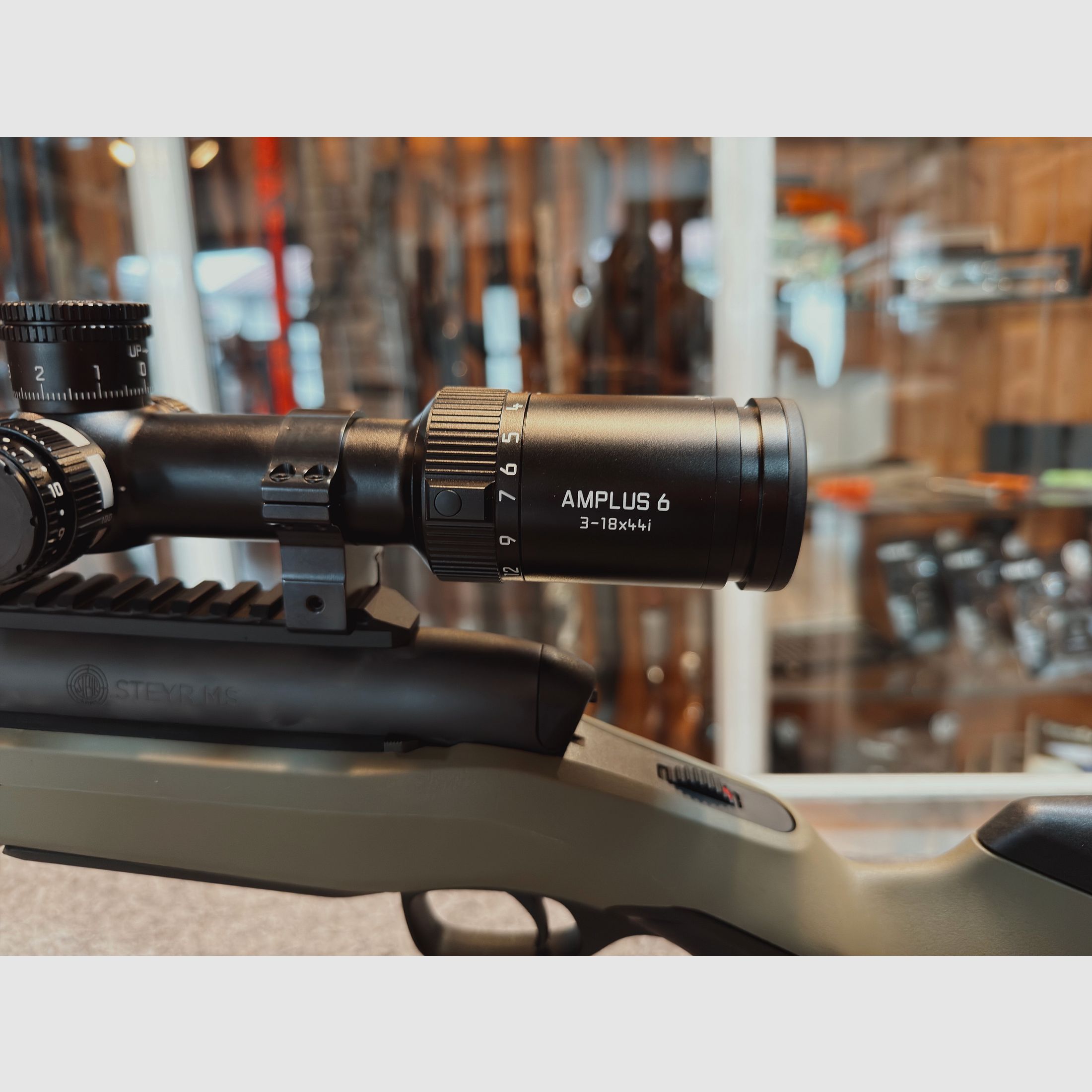 STEYR MS WILD - LEICA- HAUSKEN -  KOMPLETTPAKET | .308 Win.