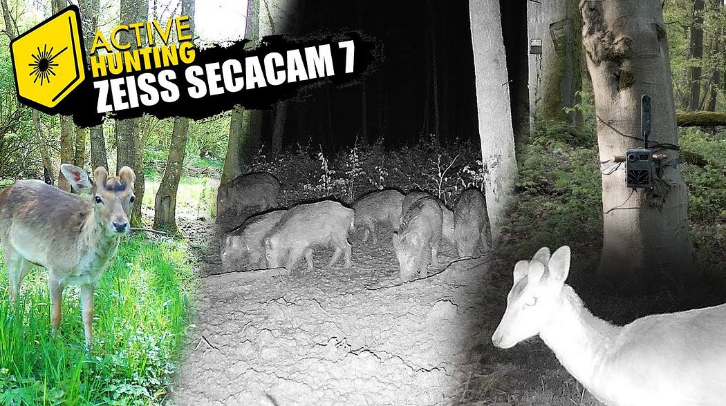 Die neuen Wildkameras ZEISS Secacam 7 und 5 - Das Auge im Revier für mehr Ruhe und Jagderfolg