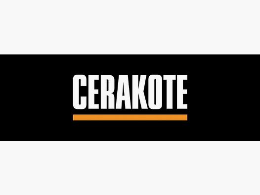 T'n T Triebel revêtements supplément : Cerakote bicolore pour AR15/carabine semi-automatique