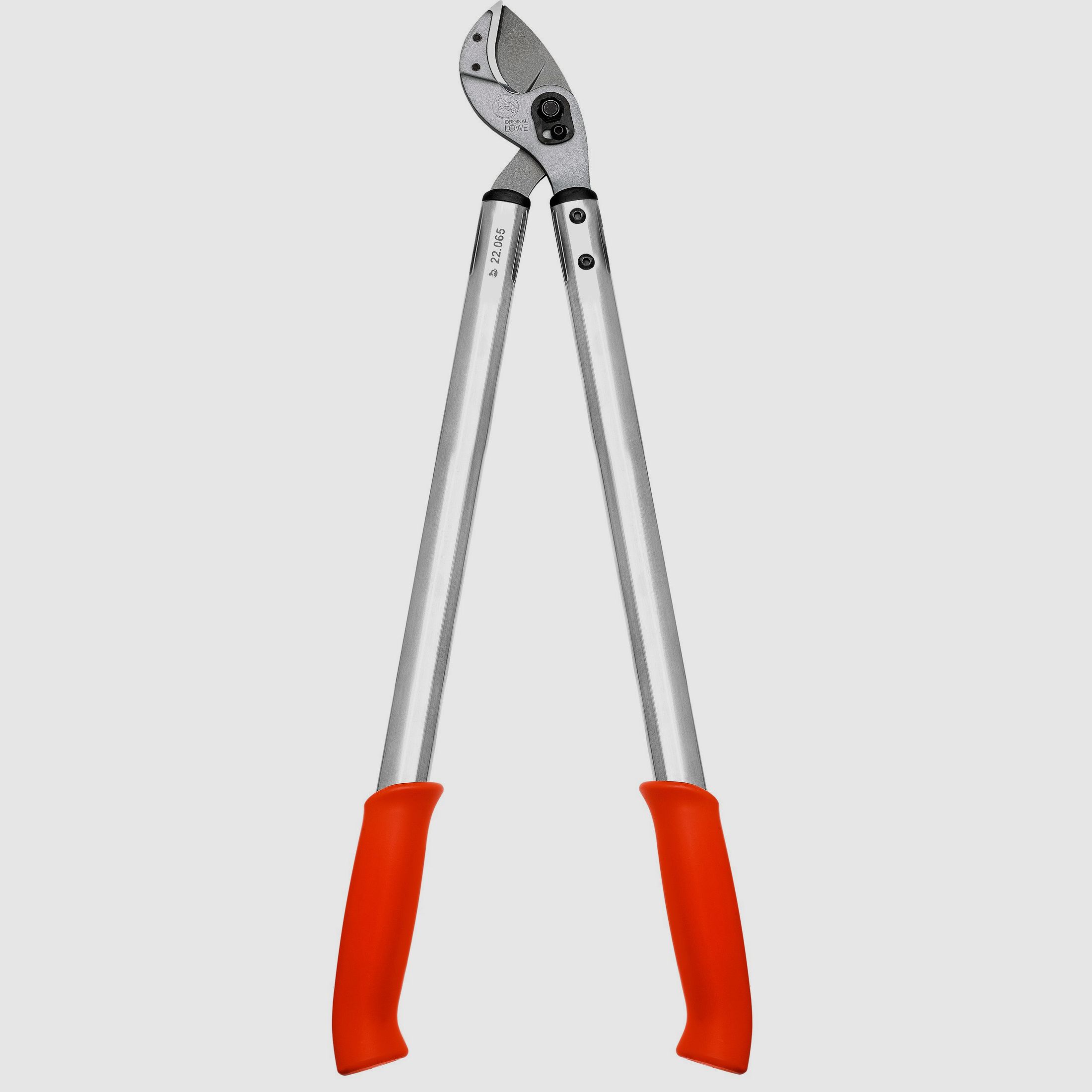 Cesoie per rami Amboss Lwe Nr. 22