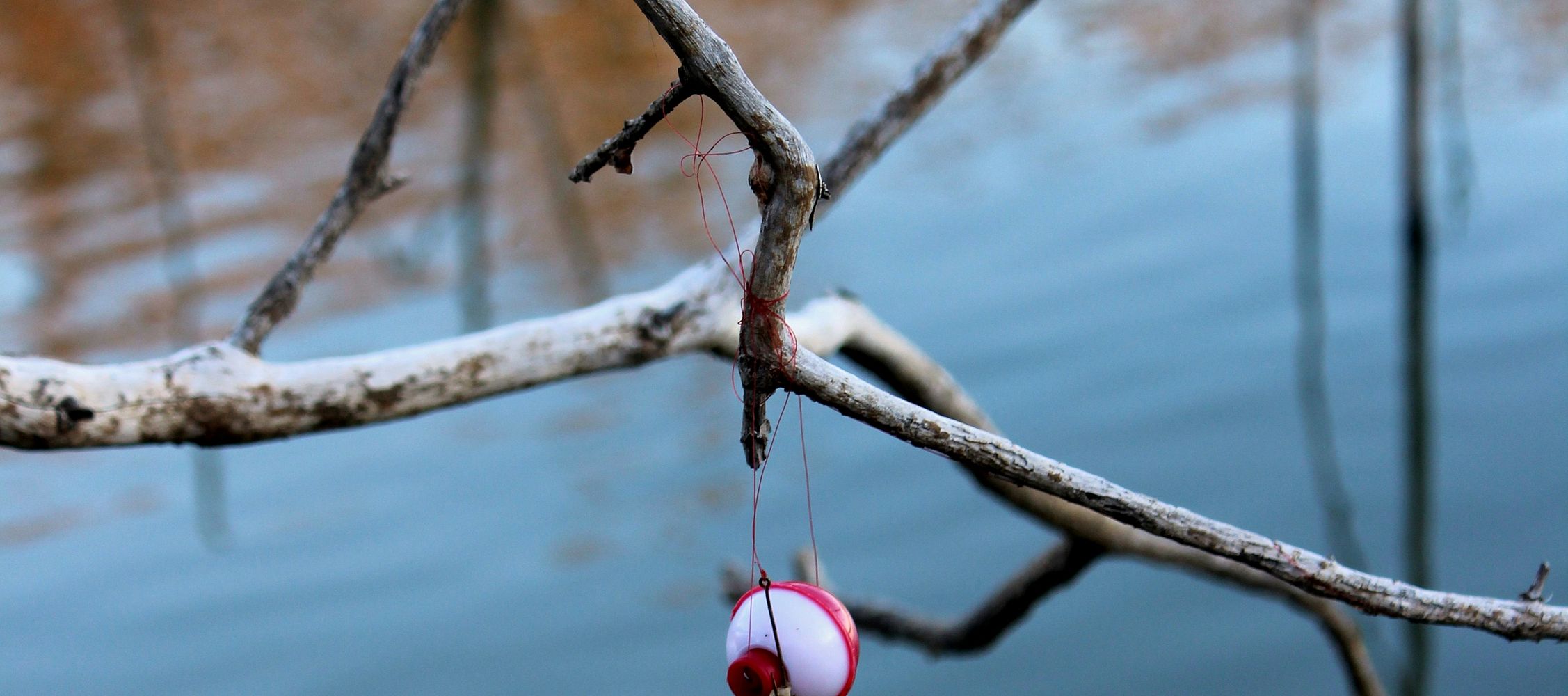 The Art of the Perfect Float in Fishing: A Comprehensive Guide for Anglers
