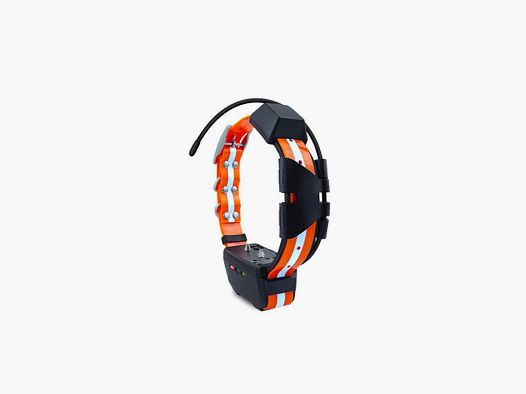 Collare Aggiuntivo TR-DOG R50 con Addestramento/Vibrazione/Flash GPS-,eSIM-GSM