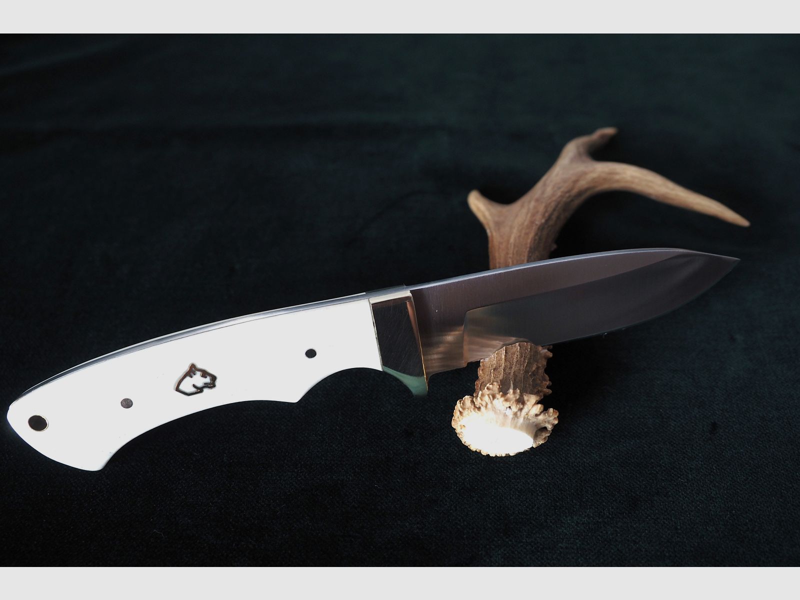 Puma SGB Coyote Glattes Weißes Knochen-Jagdmesser mit Lederscheide, Vitrinen Stück aus Sammlung, Neu und unbenutzt