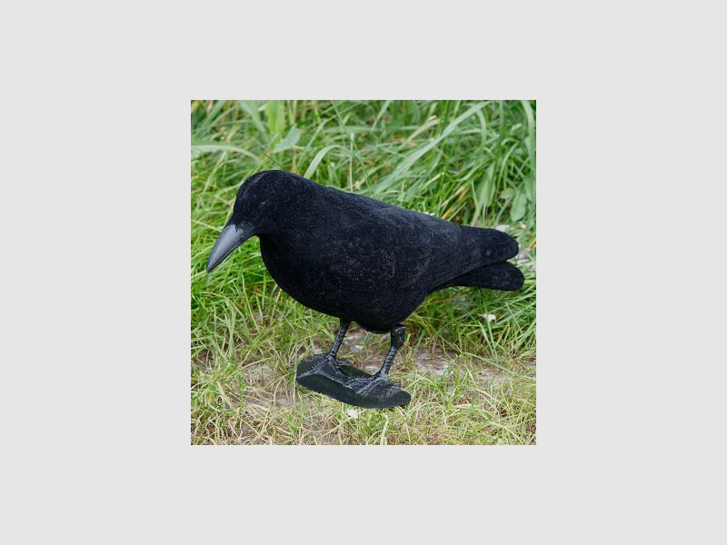 the Lake Passion Raven Crow Full Bowl (flocked) |