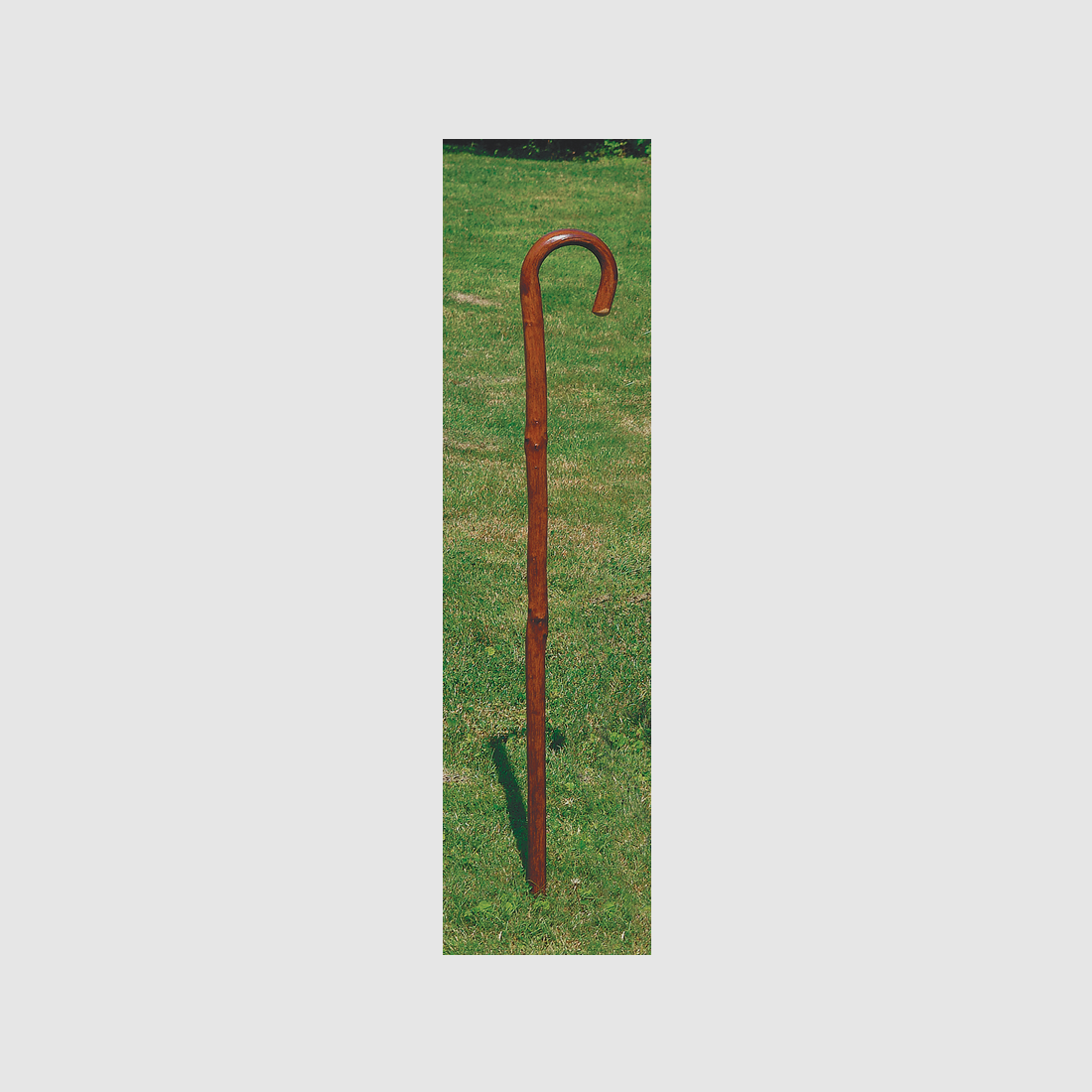 Walking stick made of flamed solid wood