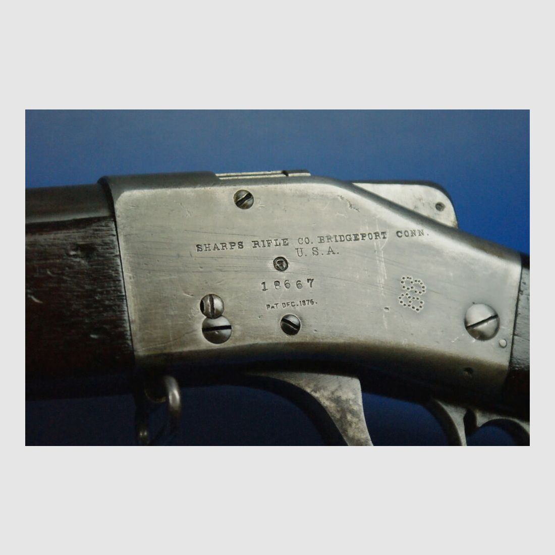 Sharps 1878 .45-70Gov