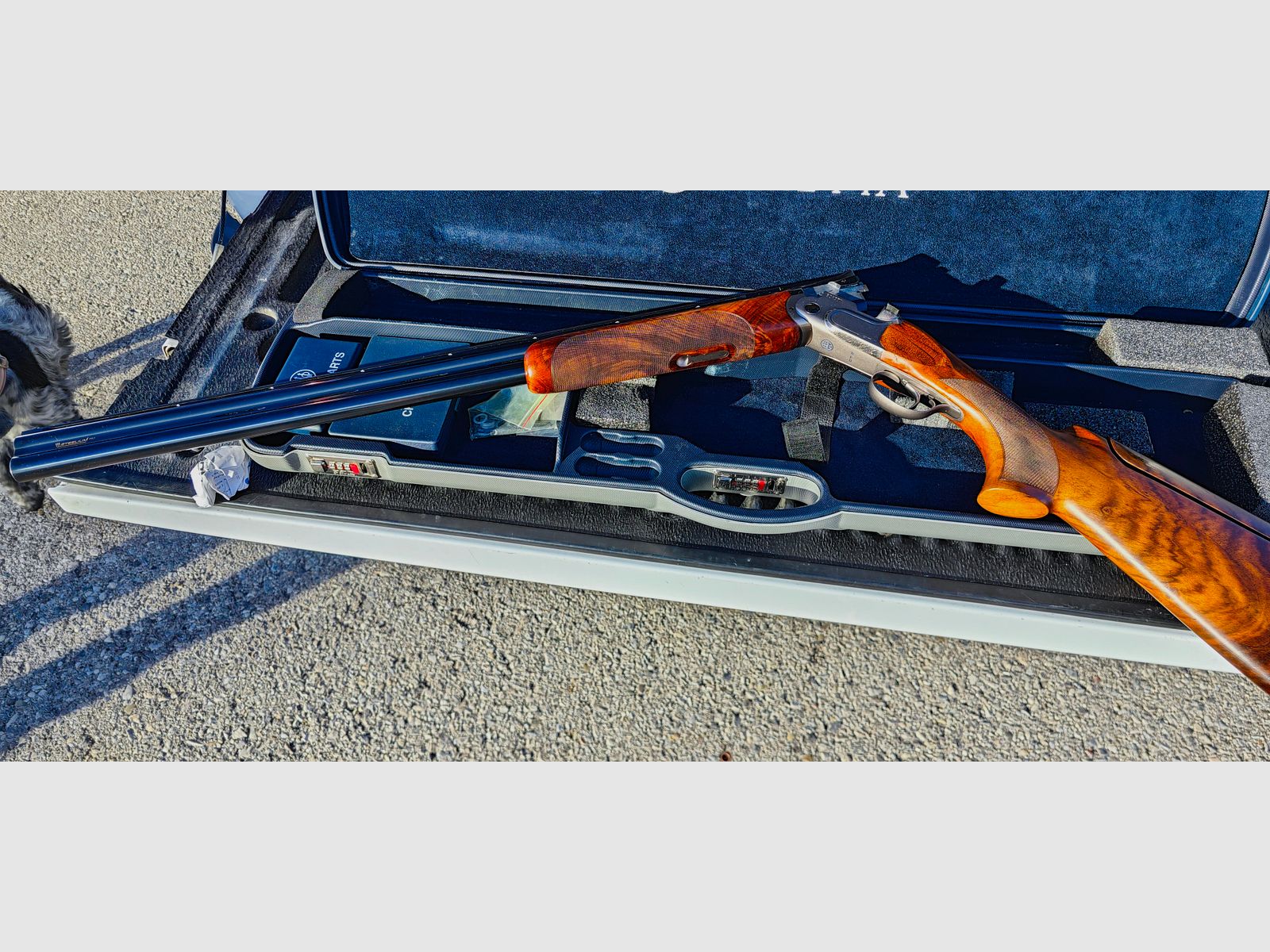 Beretta DT11 Sporting