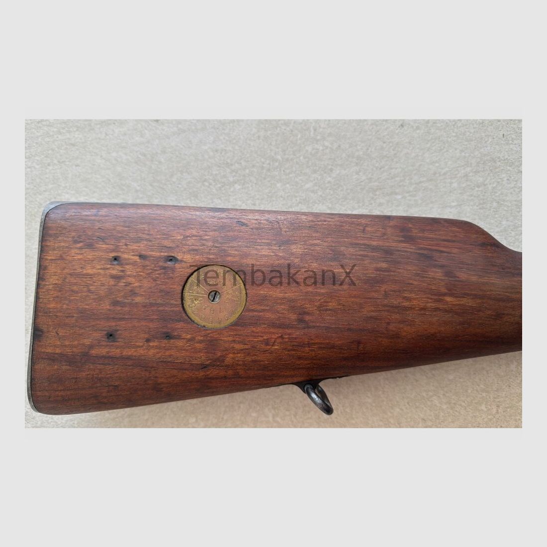 Carl Gustafs Mauser 96 6.5x55SE