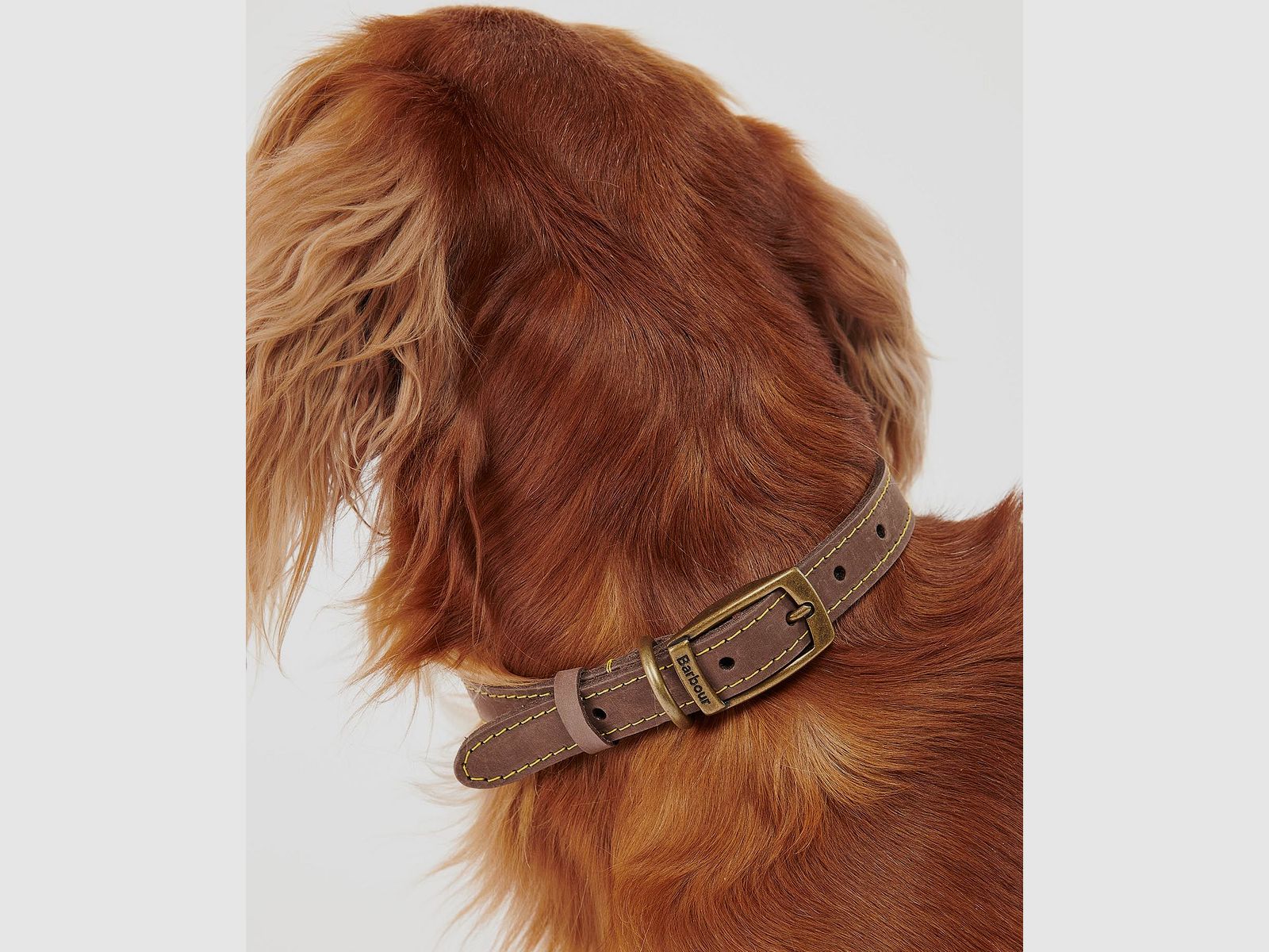 Barbour Hundehalsband aus Leder