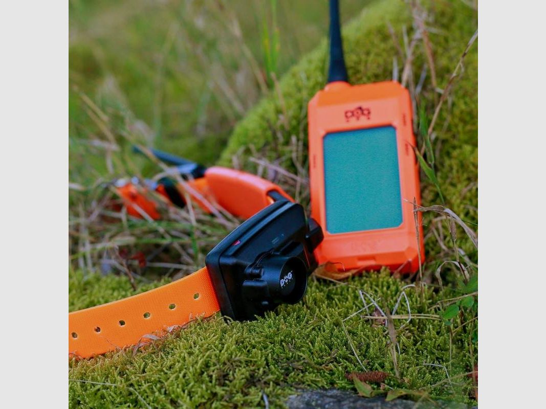 Extra Halsband Dogtrace DOG GPS X25B, afbeelding 3 van 5