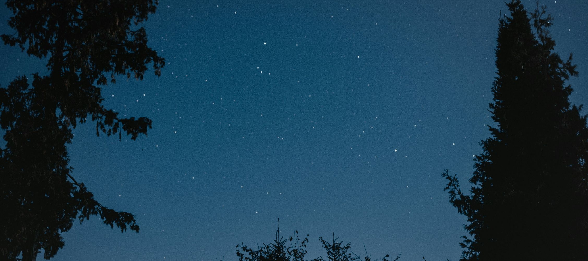 Die perfekte Begleiterin für nächtliche Anglerabenteuer – Die Zeltlampe fürs Angeln