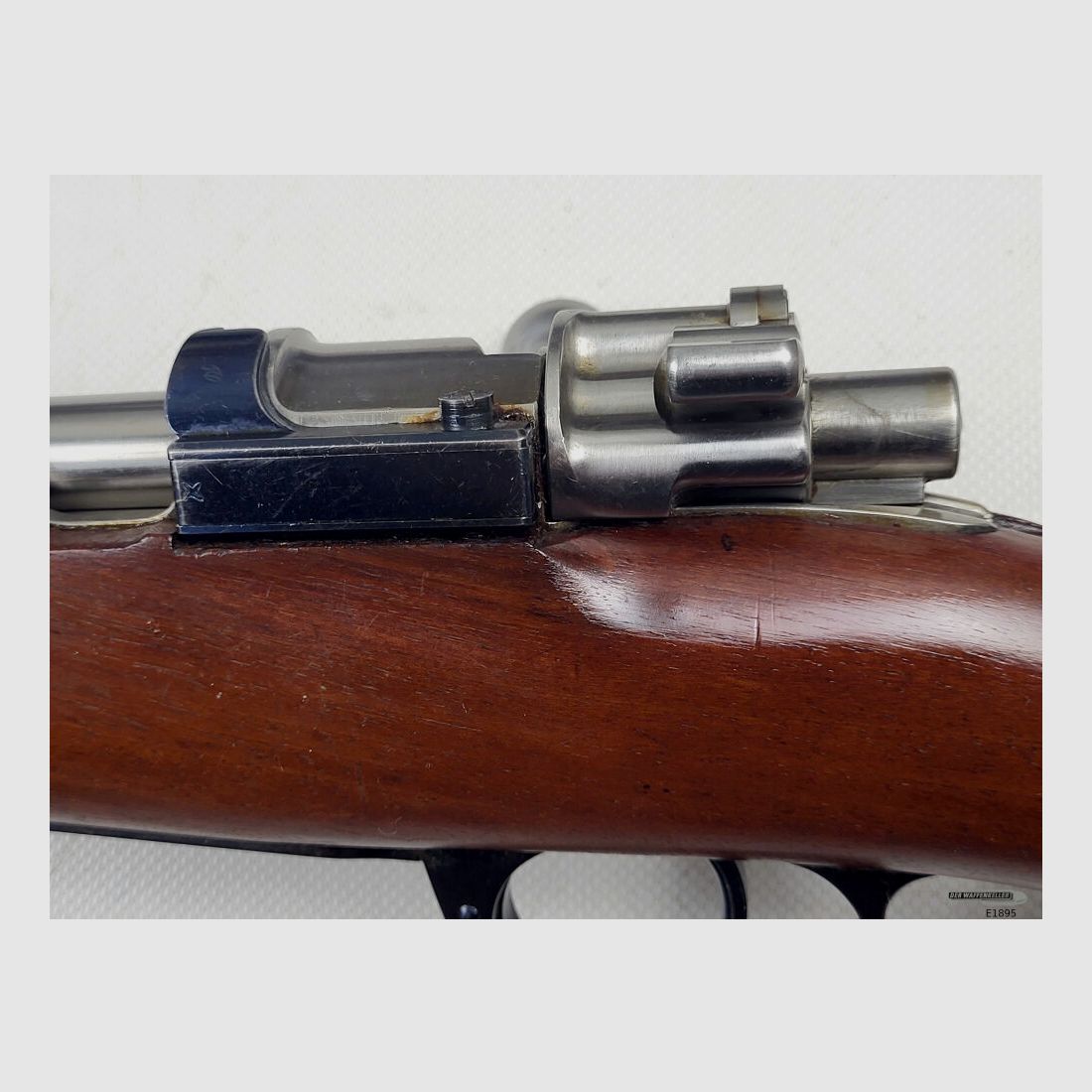 DWM Argentino 1909