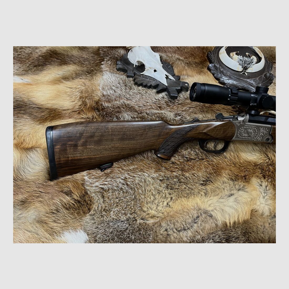 Blaser ES 73