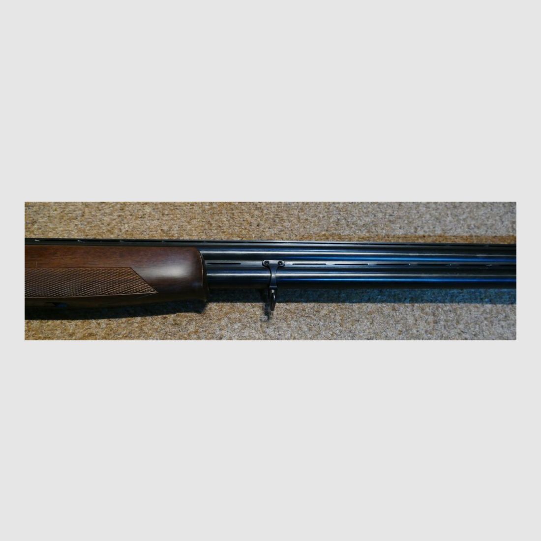 Rizzini Albion