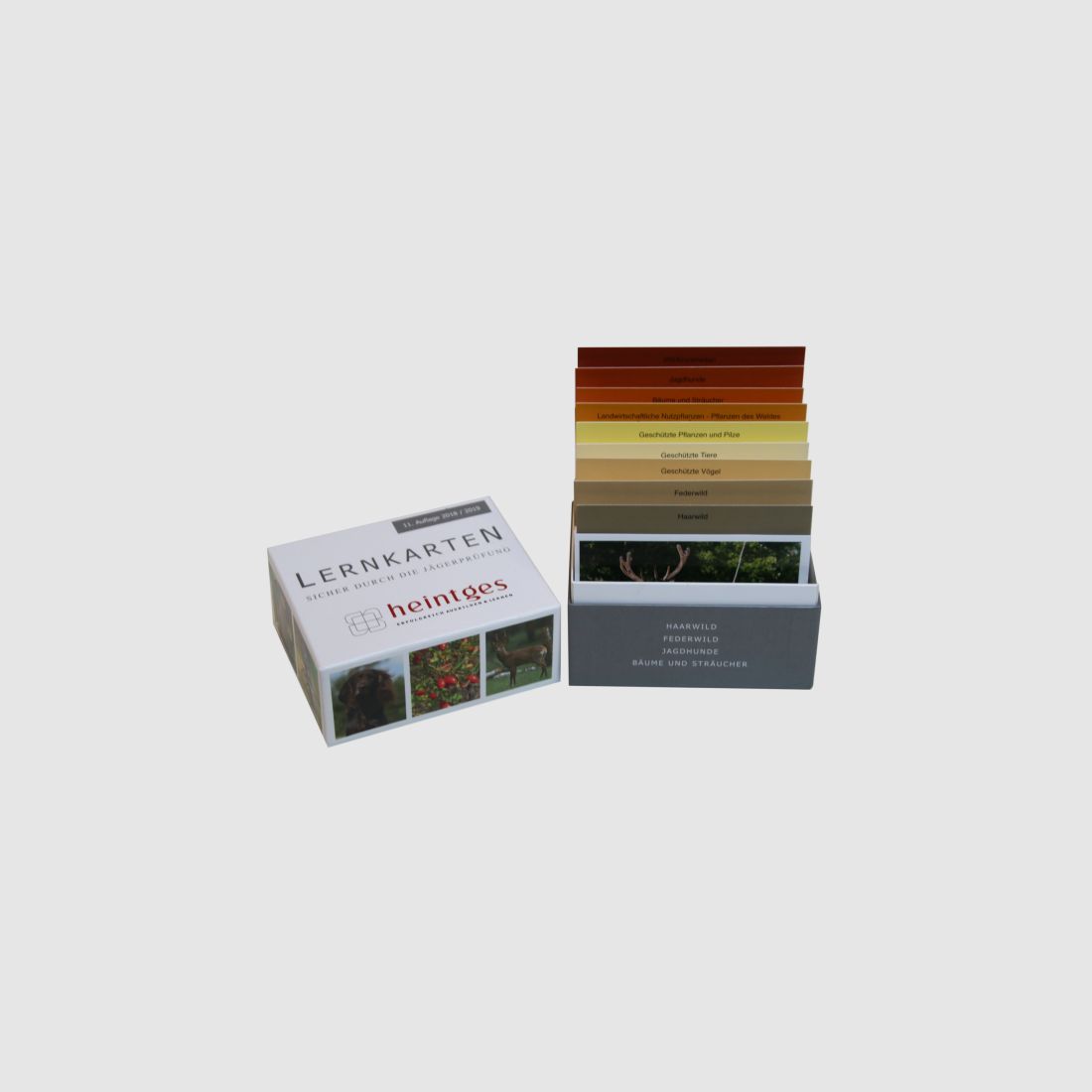 Heintges Lernkarten Jagd