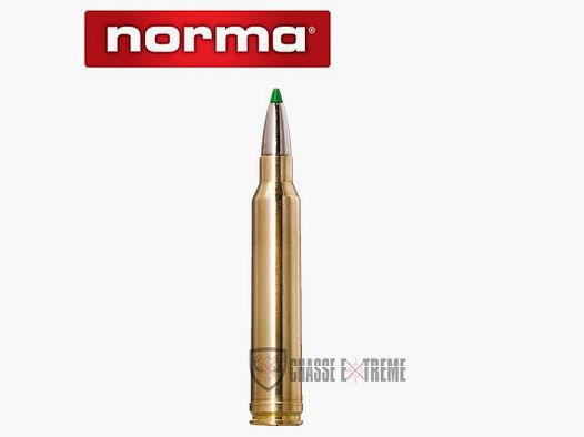 20 patronen NORMA kal. 300 WM 165gr Ecostrike