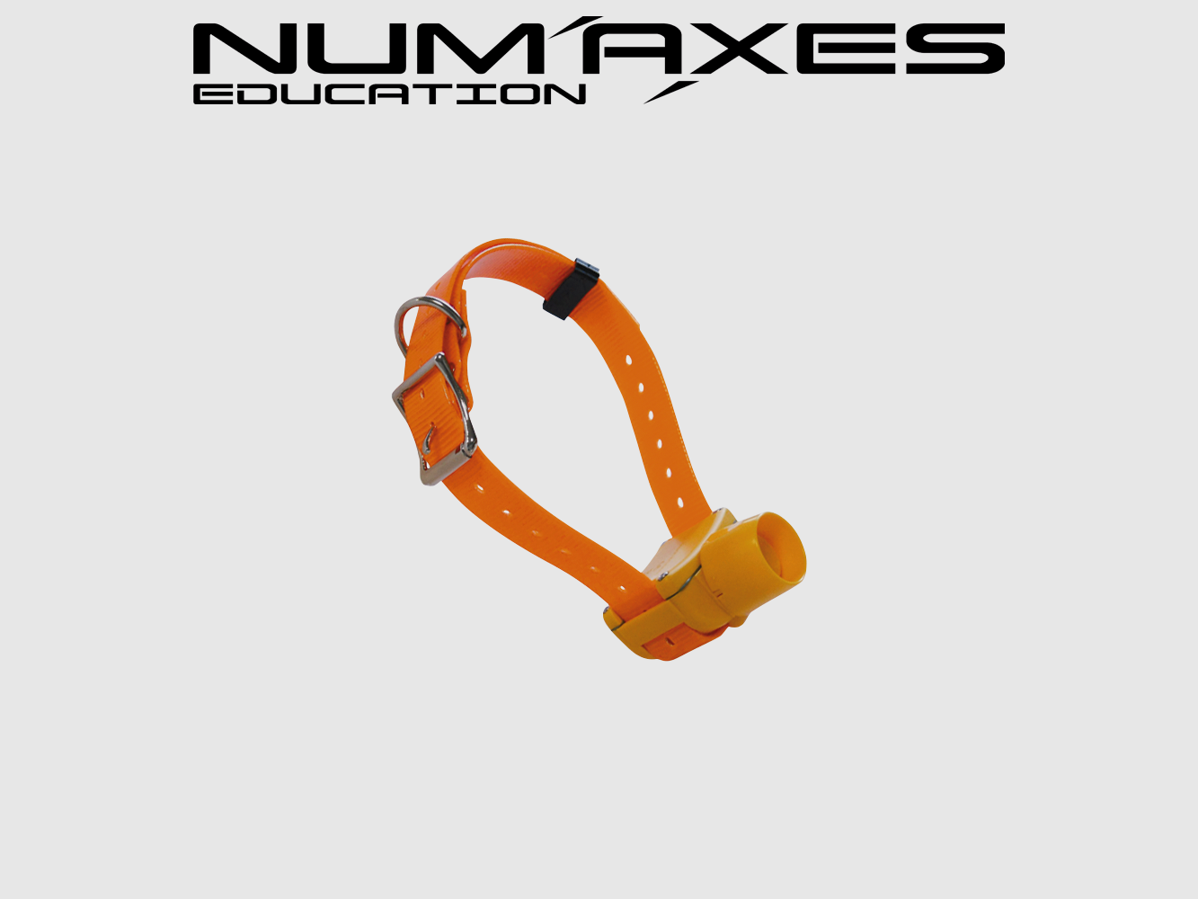 NUM’AXES EDUCATION CANIBEEP RADIO PRO, imagen 4 de 5