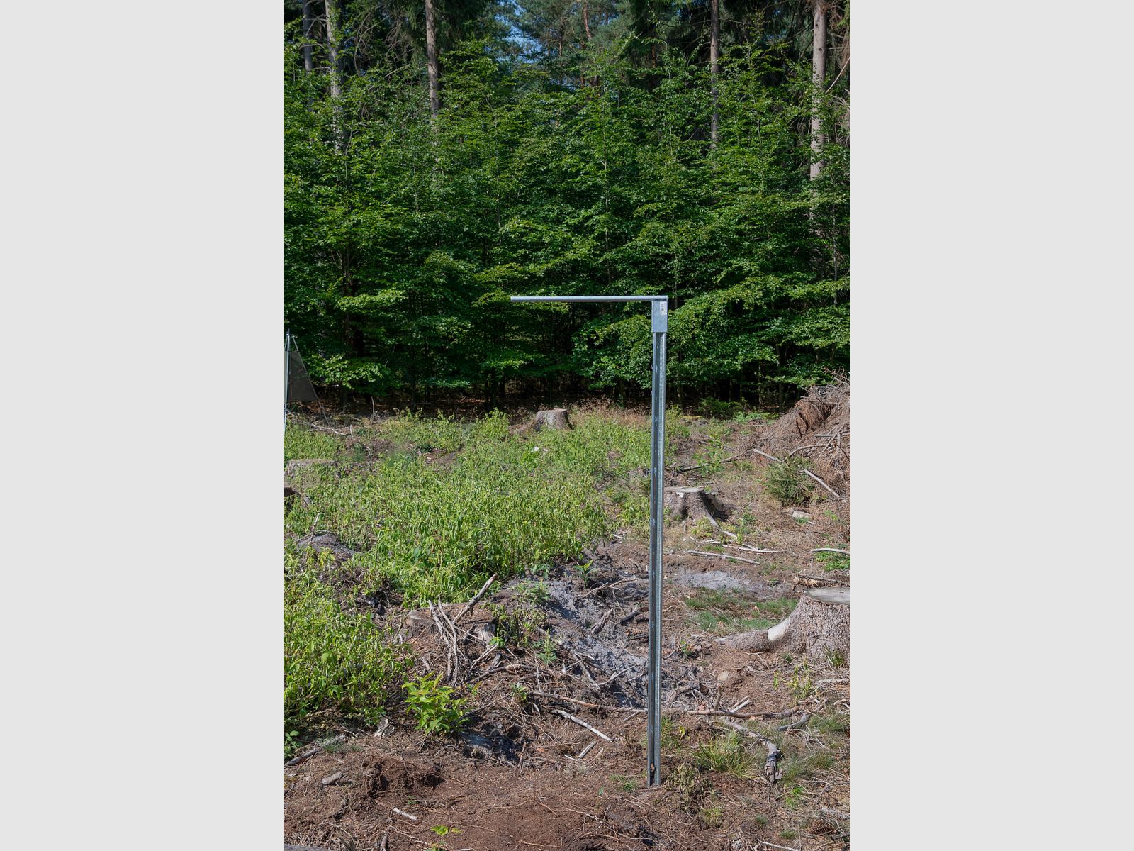Single trap stand for bark beetle slot traps