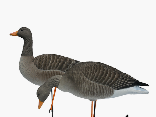 Prodecoys Elite richiami per oche selvatiche, floccati – set da 6