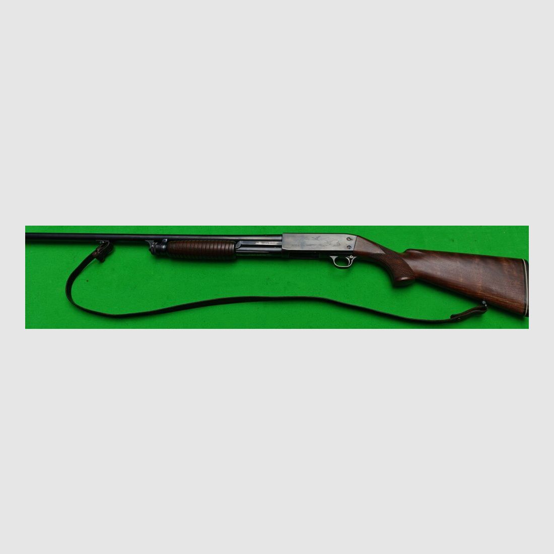 Ithaca 37
