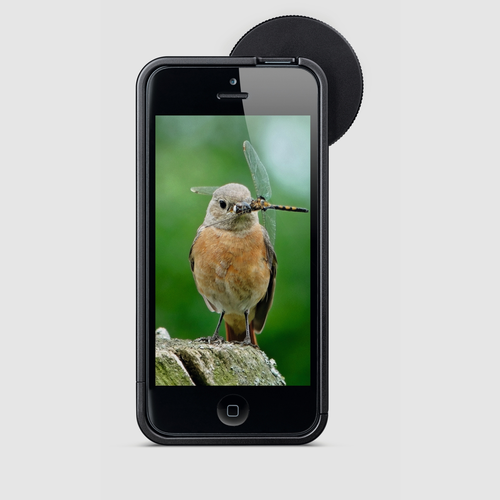 Adaptador Swarovski PA-i6 para Iphone 6