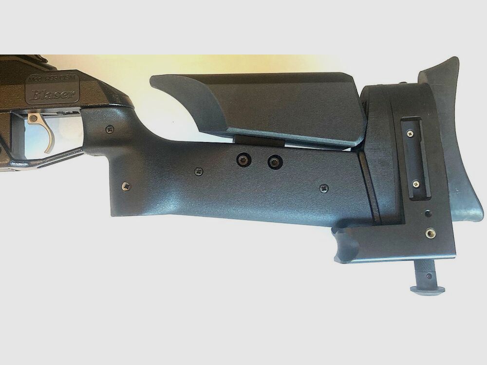Blaser R93 Tactical (CISM)