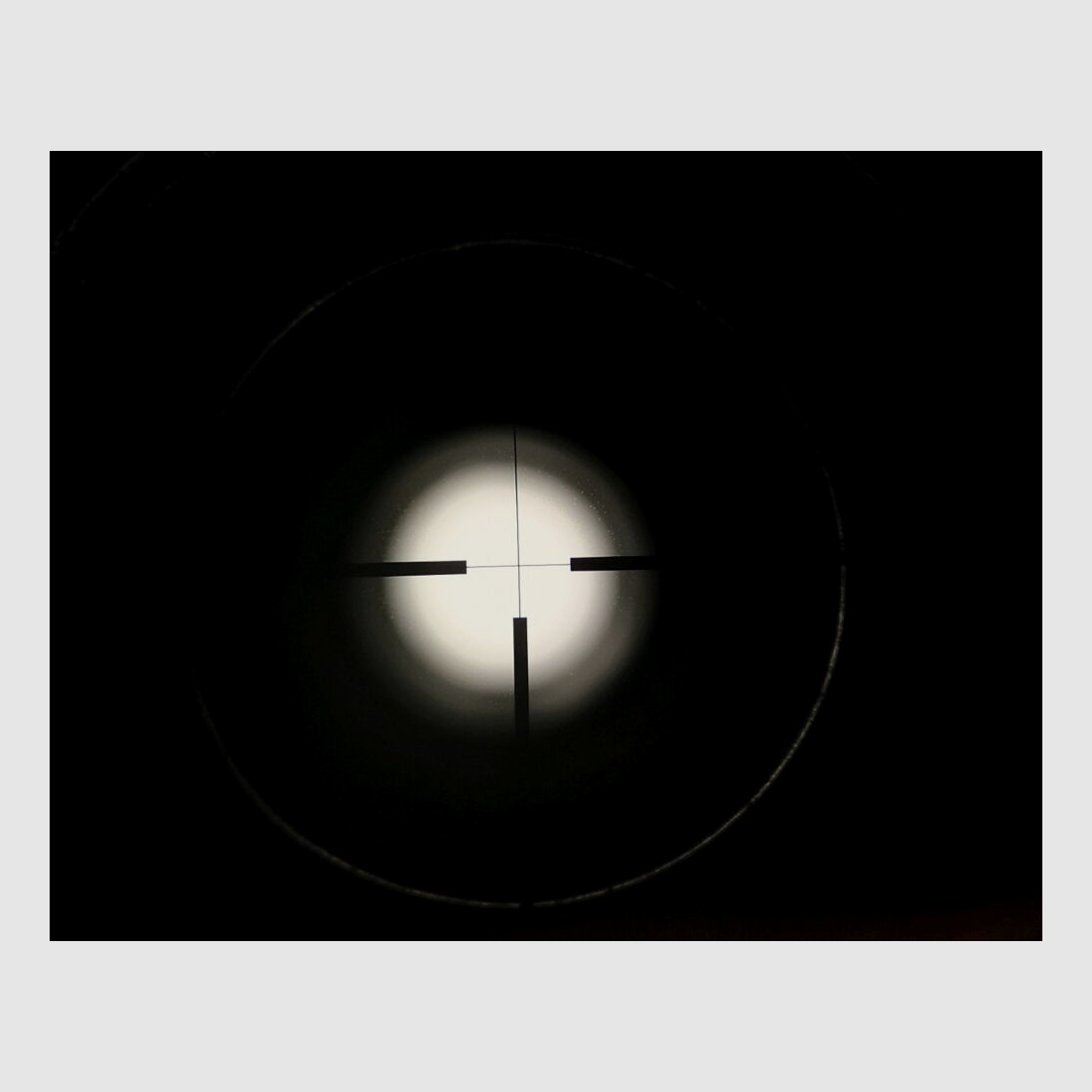 Esha R. Flückiger Schweiz - Bockbüchse m. Wechsellauf