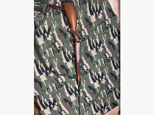 Sauer weatherby 6,5x68