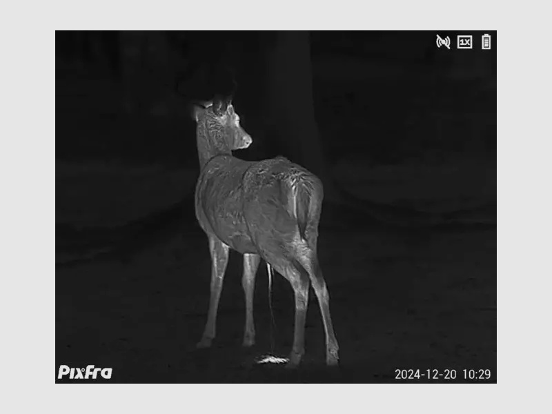 Pixfra Wärmebildmonokular Sirius S650D