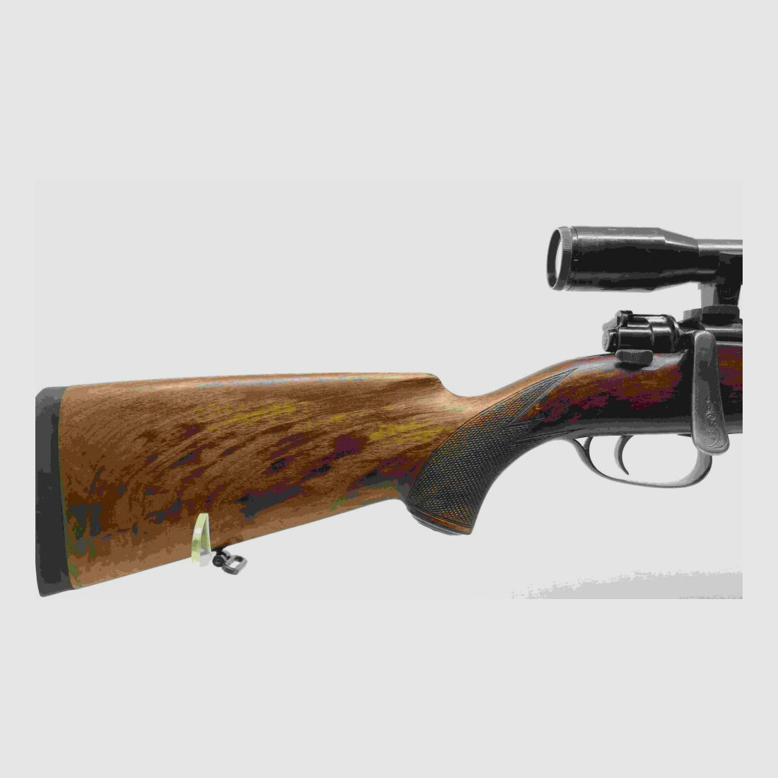 Honold Ulm avec Zeiss Diastal 8x52