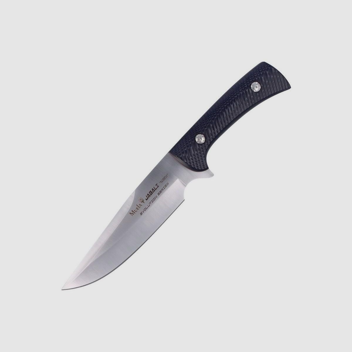 Muela Jabali 17 Micarta coltello da caccia, Bild 16 von 16