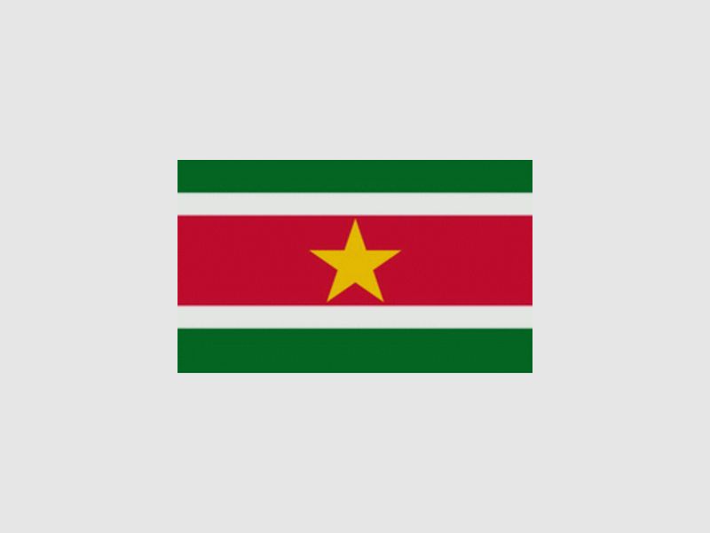 Vlag suriname, afbeelding 2 van 3