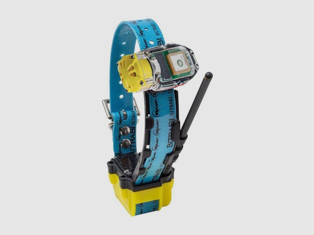 Halsband Radio + GPS + Beeper für Jagdhunde MITO 5100 BITRABI