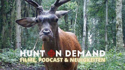 Filme, Podcast & Neuigkeiten!