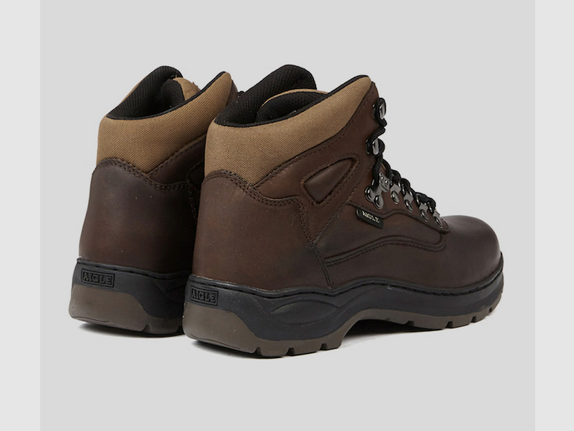 Aigle Picardie